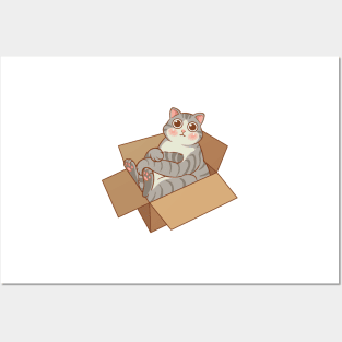 Tabby cat in the box Posters and Art